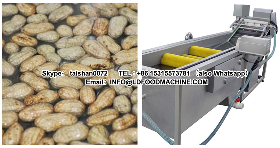 LD QXJ-L fruits and vegetables bubble cleaning machinery