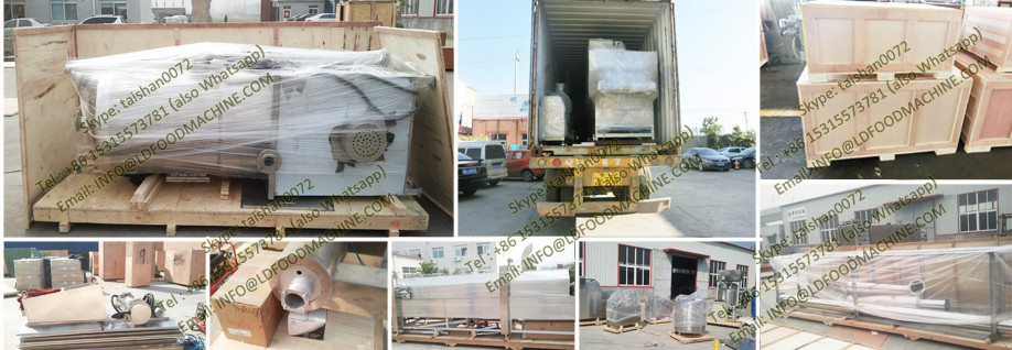 continuous LD fryer machinery