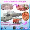 Industrial Fruit LD Freeze Drying machinery #1 small image