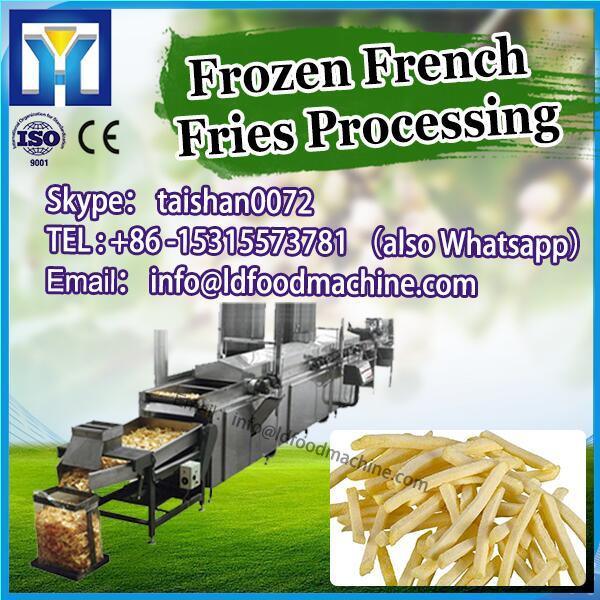 Linha de produ??o congelada de batatas fritas - 1000 kg / h #1 image