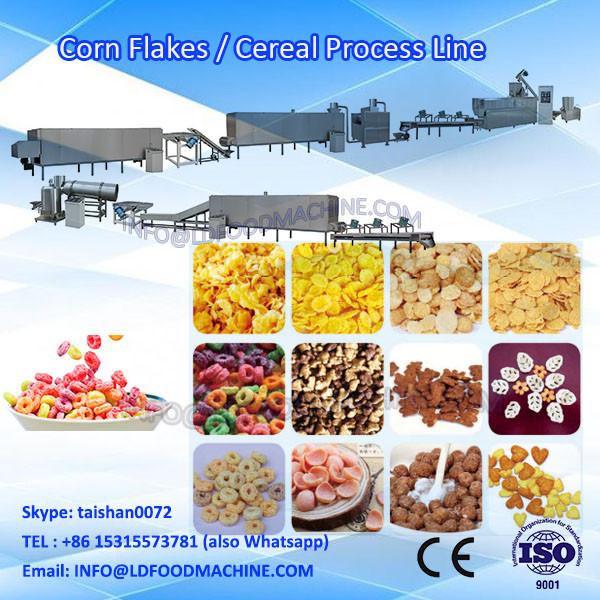 Frostted Nestle Kelloggs BuLD Oats Cereal Corn Flakes machinery #1 image