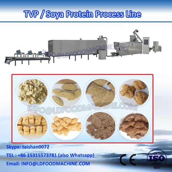 Hot Sales extruson machinerypara TVP / TLD / Soya Protein #1 image