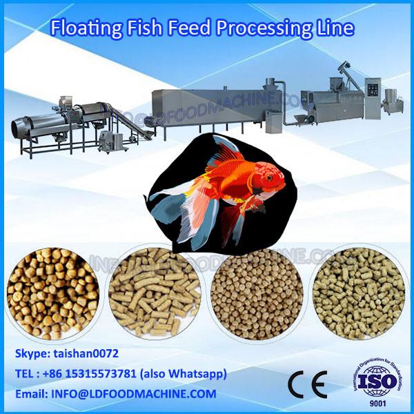 Floating / SinLD Fish Feed machinery #1 image