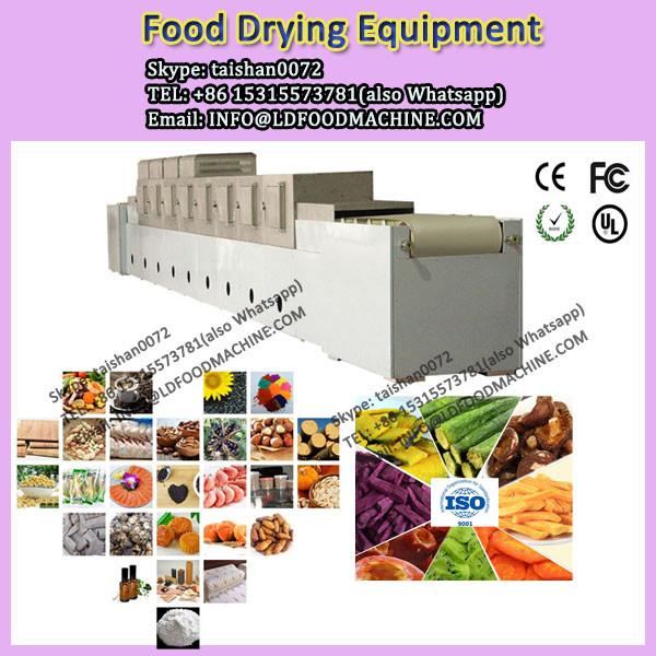 Secadora comercial de frutas e vegetais LD Maquinas de secar banana microondas #1 image