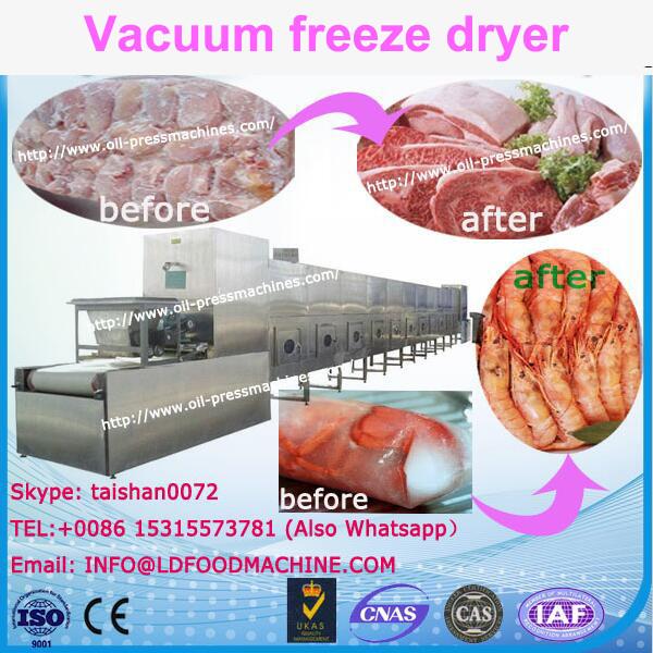 Alimenta??o De Frutas Pequenos De Frutas LD Freezer Dryer / Freeze drying machinery #1 image