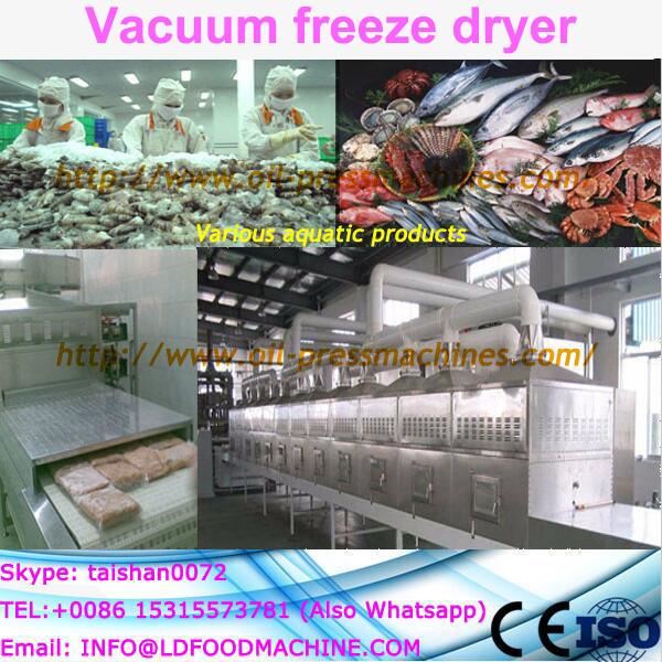 0.1 Square meters dried fruit processing ,LD freeze dryer #1 image